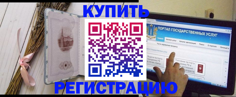 прописка поиск в Курской области